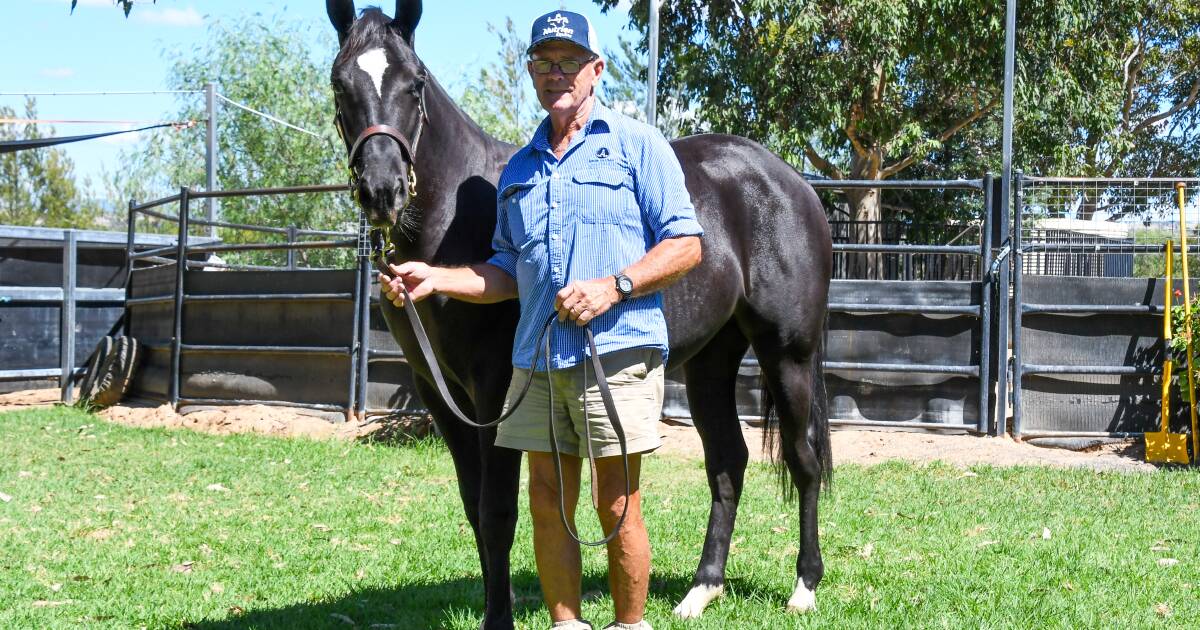 Yearling filly smashes top-price record at ASHS Fountain of Youth sale