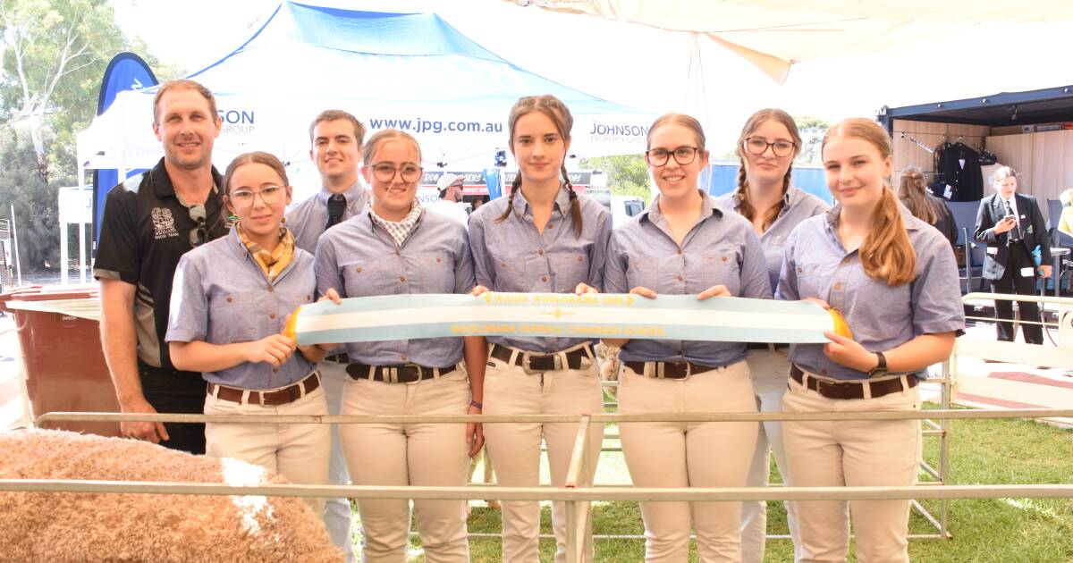 Junior judging showcased at Woolorama