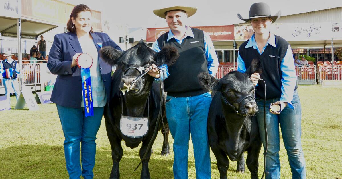 Australian Lowline wins in the other recognised breeds at Sydney