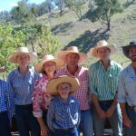 Wagga sale 11 March 2024: Cattle prices decelerate