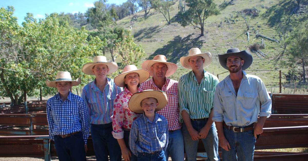 Healey family bounces back to win 2024 Bathurst flock ewe competition