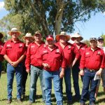 Crocodile sighting at Rollingstone Creek | North Queensland Register