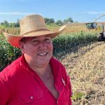 North Queensland grazing and hay making opportunity