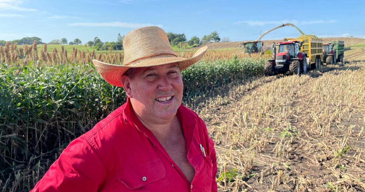 Farming for feed security is a lesson dairy farmers can teach beef producers