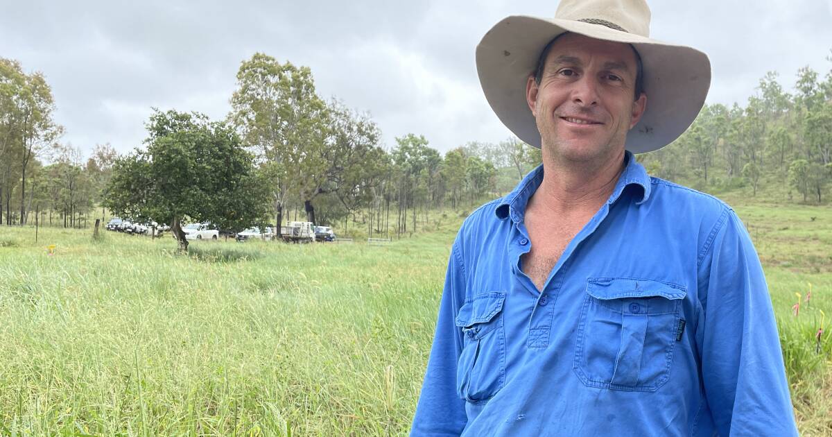 Pasture dieback field day insights | Queensland Country Life