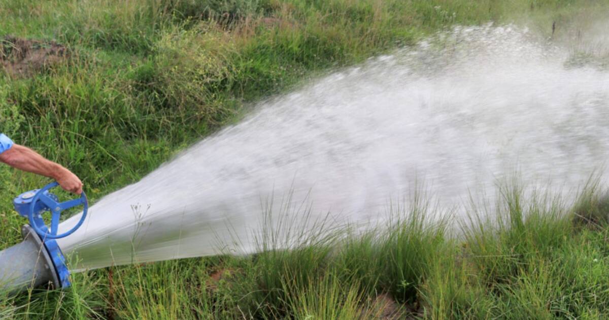 Efficient irrigated livestock grazing and fodder cropping operation