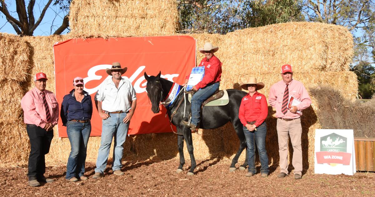 6yo stallion makes $38,000 at WA Elite Horse Sale at Coolup. | Farm Weekly