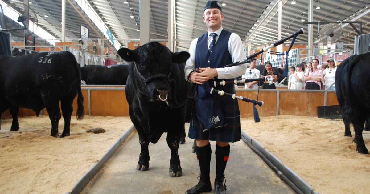 Quirindi vet receives Royal Agricultural Society NSW Youth Medal | The Land