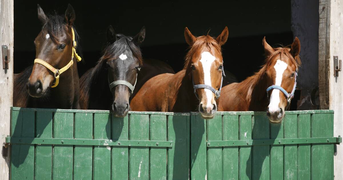 NSW country racing: powering up prize pools | The Land