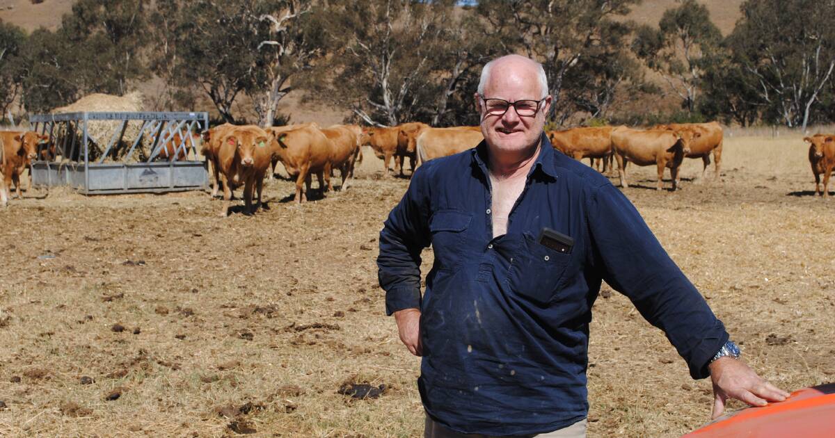 Victorian Red Wagyu find homes in northern Qld