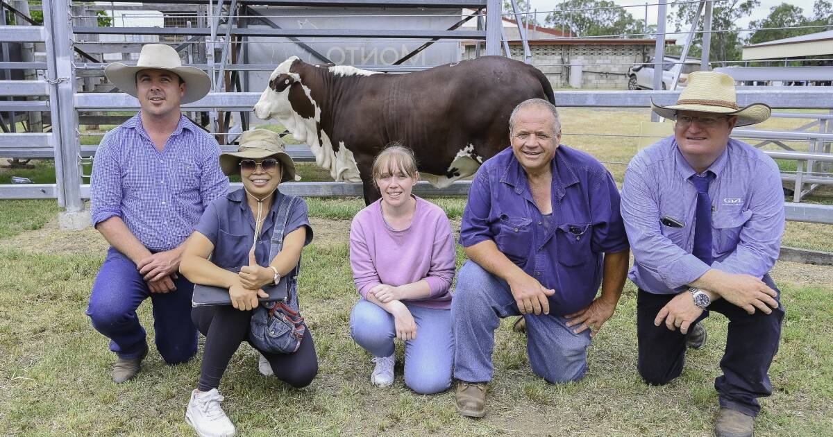 Top heifer sold at Elite Braford Breeder sale bound for NSW