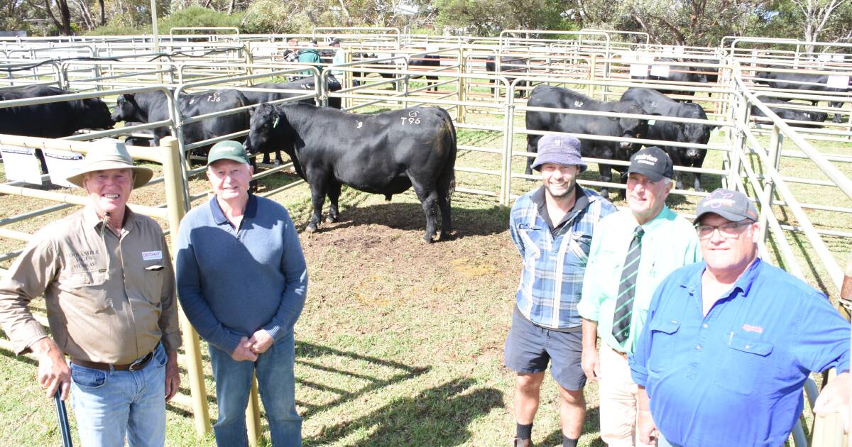 Coonamble Angus sale tops $32,000 (2)