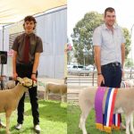 Wagga auctioneer winner still selling strong