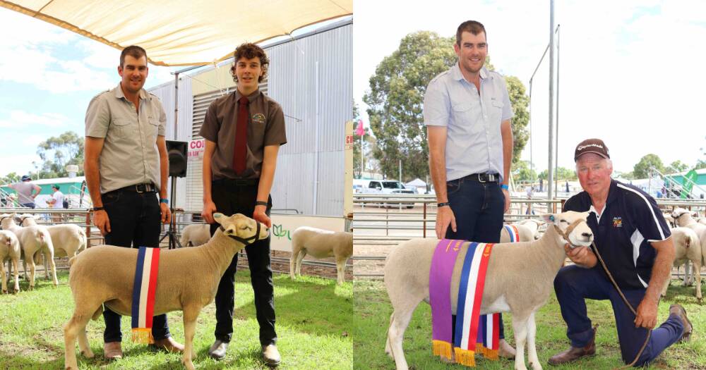 Texel Breed Shines at Wagin Woolorama | Farm Weekly