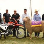 Chinchilla electrician sets aviation record for RFDS fundraiser | Queensland Country Life