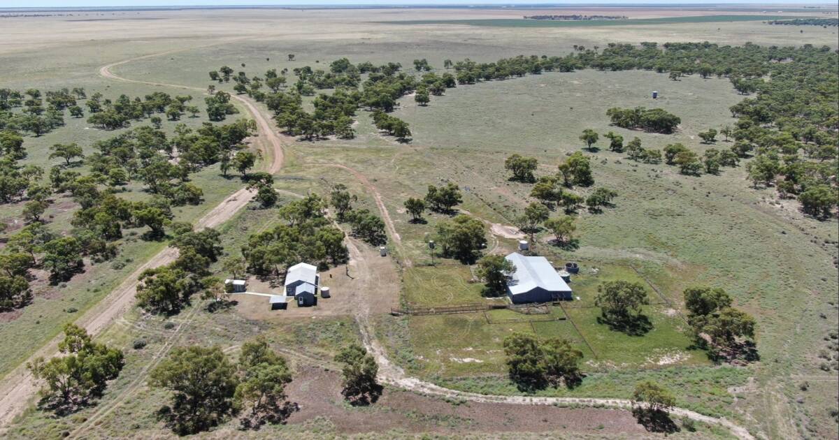 Three productive properties on famed Riverina Plains up for grabs