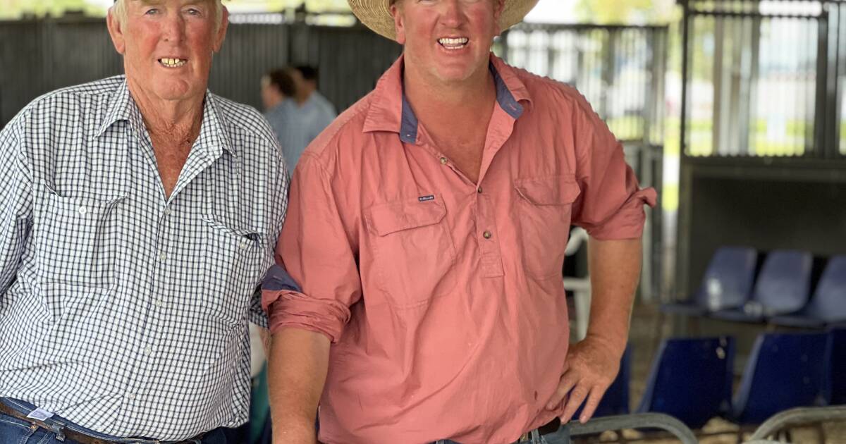 Loomberah's Tongue family take champion individual lamb at Tamworth