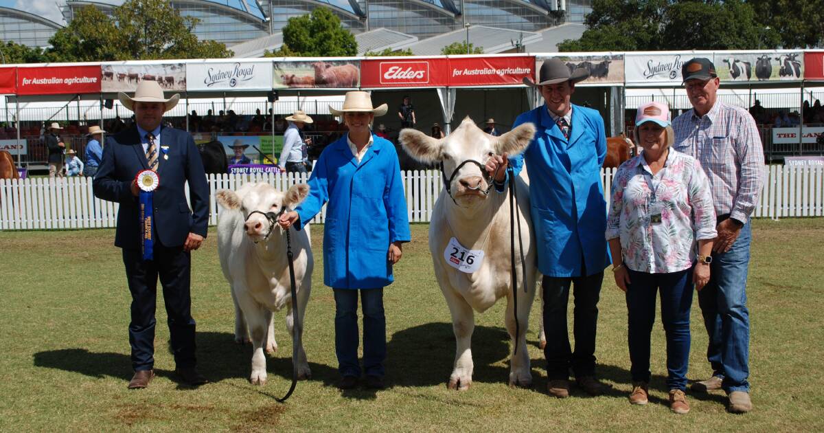 Venturon takes grand champion bull and female in Charolais ring