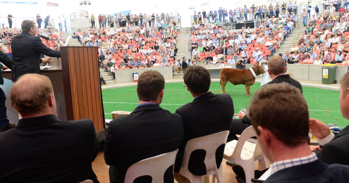 Meet the ALPA National Young Auctioneers Competition finalists | The Land