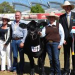 Henry Burke elected president of Northern Territory Cattlemen’s Association | North Queensland Register