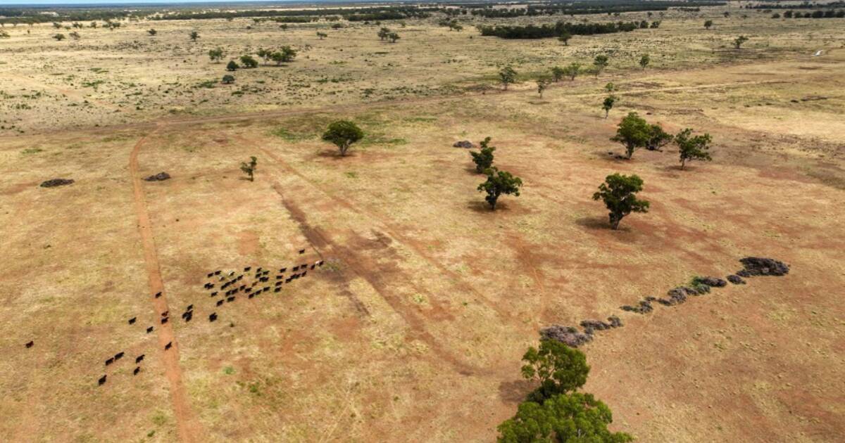 Productive Warrabone offers significant farming potential | Video