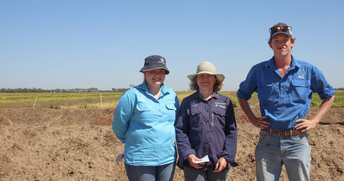 Finding a baseline for methane emissions in rice