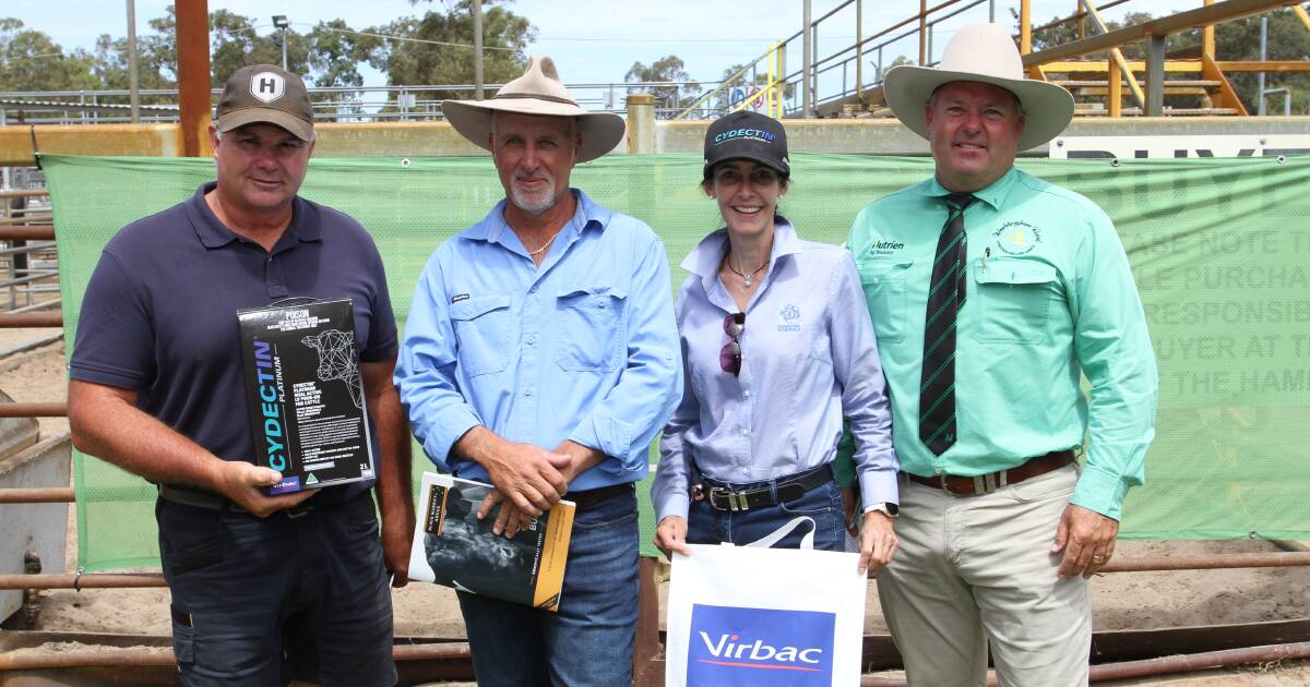 Black Market Angus bull sale reaches $22,000 at Boyanup. | Farm Weekly