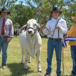 Efficient irrigated livestock grazing and fodder cropping operation