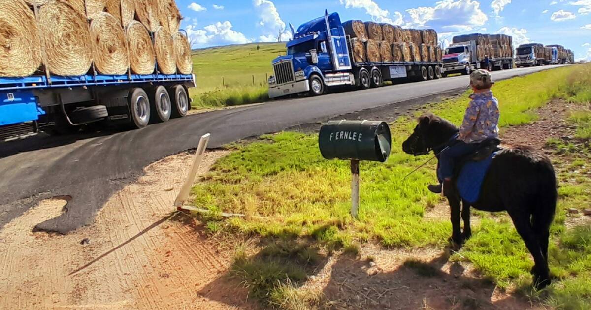 Aussie Hay Runners deliver hay to the Inverell LGA | The Land