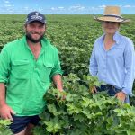 NSW growers chase a fairer go at inquiry