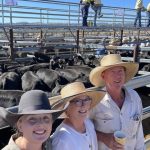 Tenterfield Angus weaner cattle sale | The Land