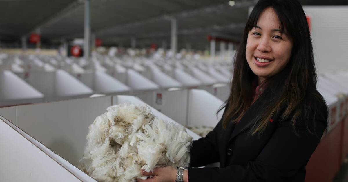 Samantha Wan: changing face of Australian wool industry | The Land