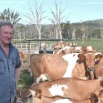 Top-priced bull from Dunoon heads to South Australia