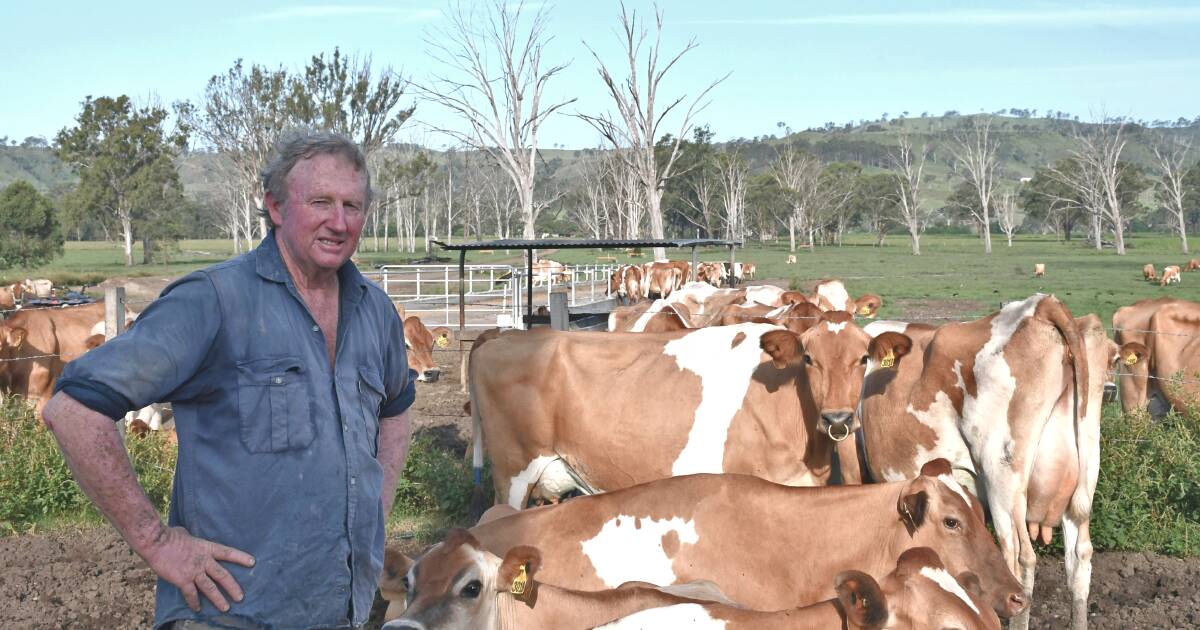 Queensland dairy farmers adopt a wait and see attitude after Woolworths pulls Norco milk