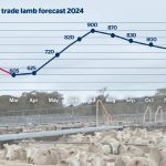 Understanding price slides when buying and selling feeder cattle