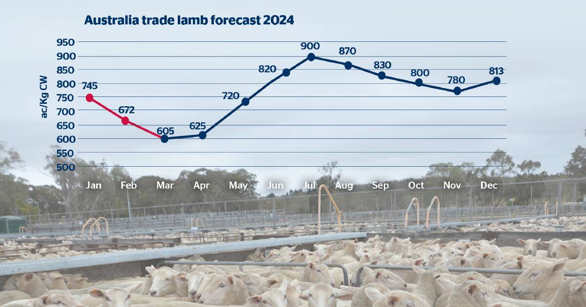 Lamb prices predicted to rise in winter as supply tightens