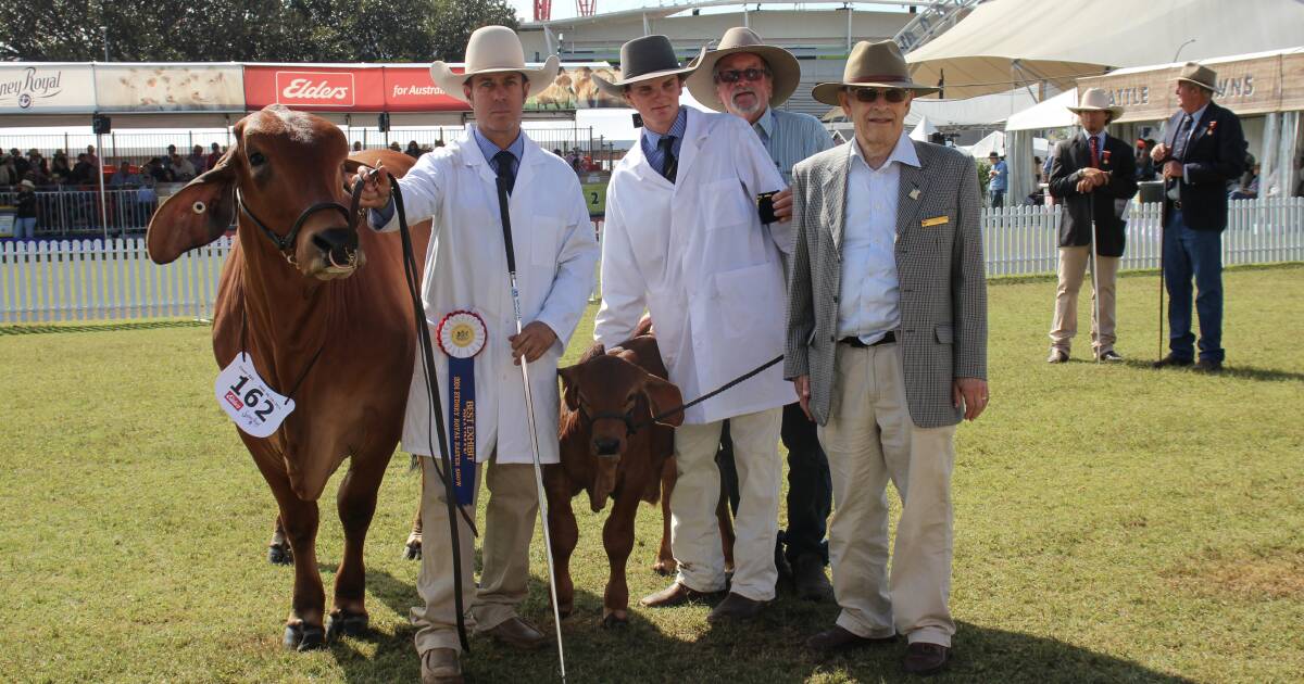 Yorklea stud dominates Brahman ring at Sydney Royal