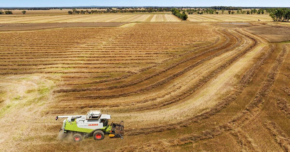 Farmers are busy consolidating their land holdings, bank lender says