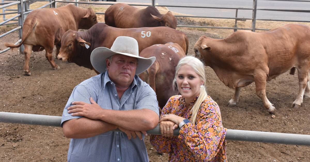 CQ bullock finisher among Highlands sale bulk buyers