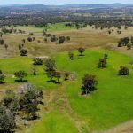 Two Angus stud bull missing