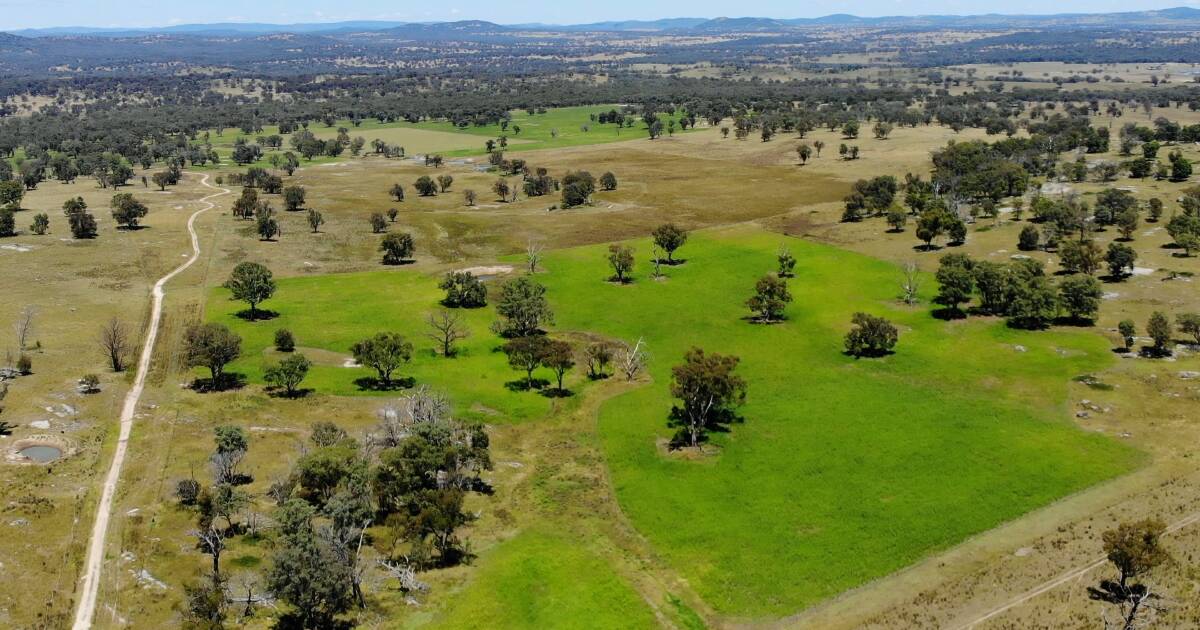 Productive Tablelands grazing country with wind turbine potential