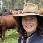 Dohne Sire Evaluation field day at Coonong Station, Urana | The Land