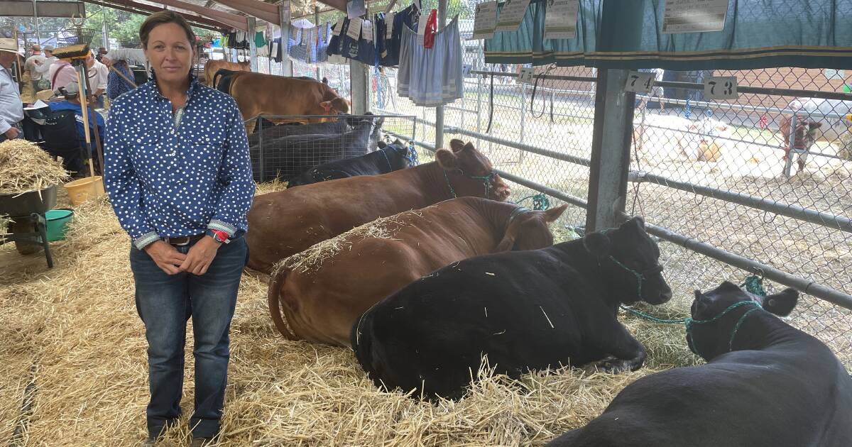 Tertiary scholarships sponsored by NSW Farmers