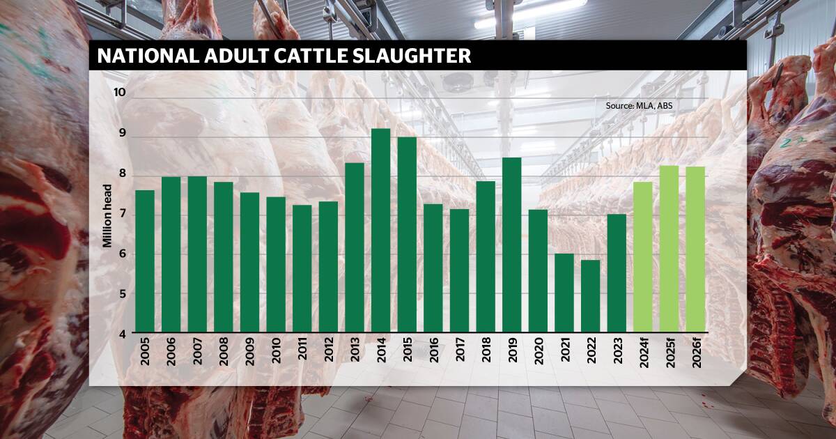 Why the cattle processing bottlenecks from lack of labour did not eventuate | Queensland Country Life