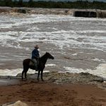 Cattle prices turn on rain; May outlook strong but it's a see-saw no one can trust