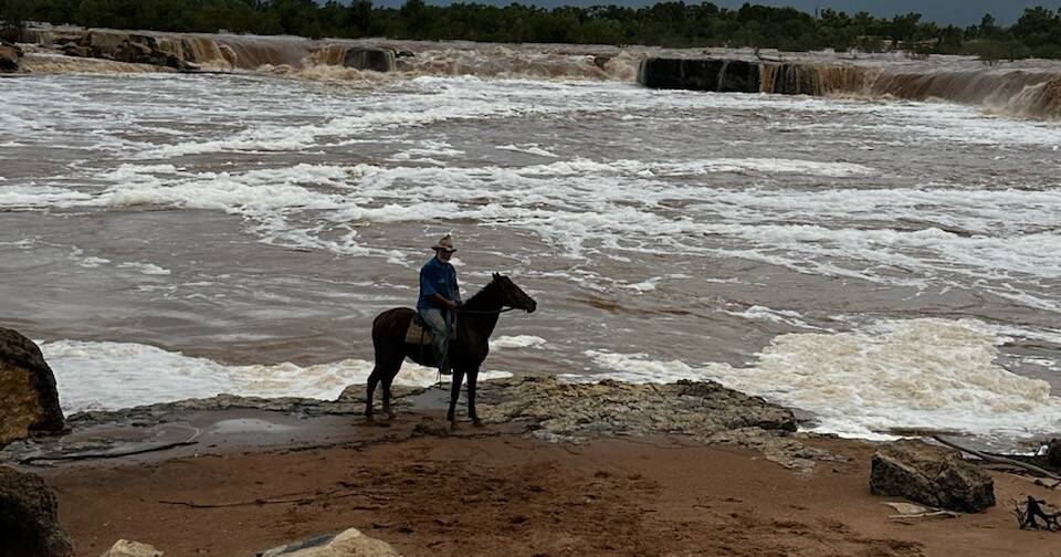 Grazier Ernie Camp said prolonged wet weather could impact forage | Queensland Country Life