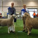 Cattle breeding expert trains the next generation in herd management practices