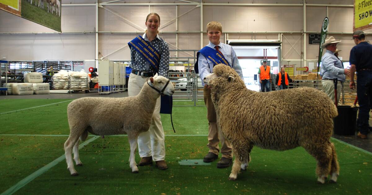 Good competition in meat sheep handlers at Sydney Royal