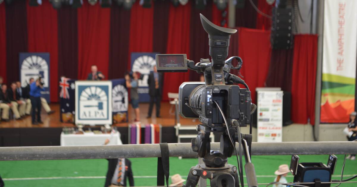 How to watch the Young Auctioneers Competition online