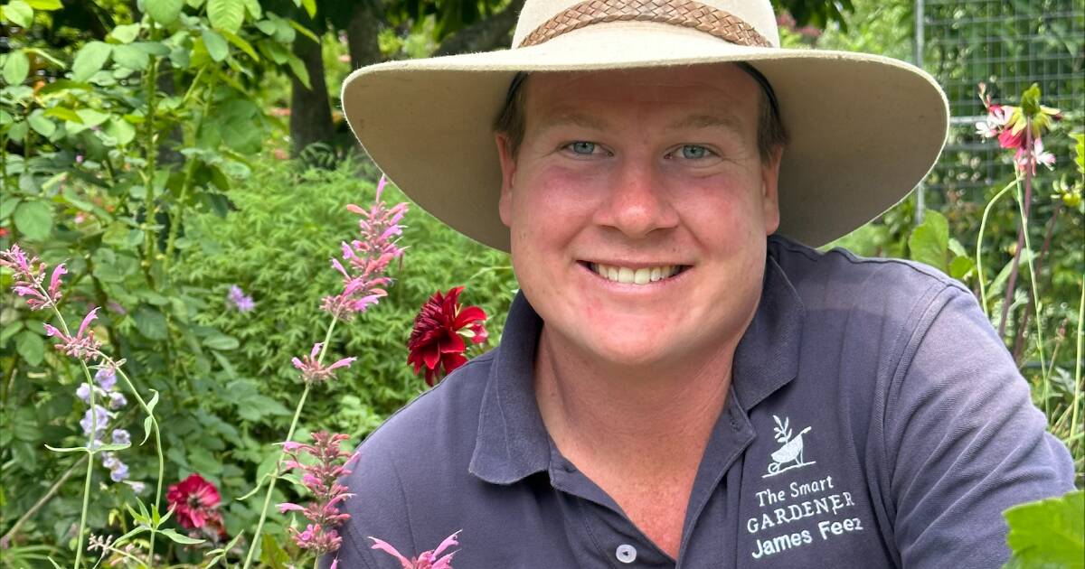 Organic gardening: Choosing the right manure for your plants | Queensland Country Life